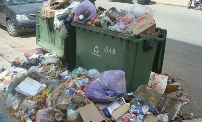 بني أنصار .. العثور على جمجمة رأس حمار بحاوية أزبال