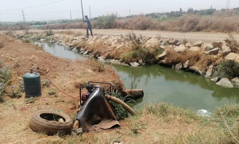 وجدة .. توقيف 04 أشخاص متورطين بسقي أراضيهم الفلاحية بالمياه العادمة