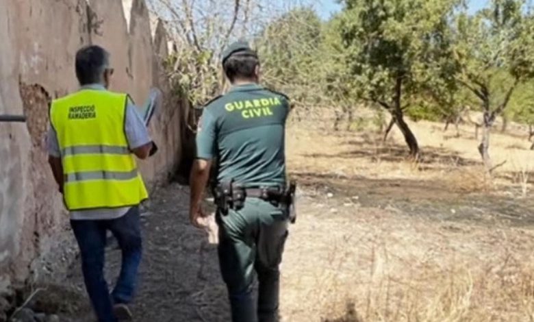 الجالية المغربية في إسبانيا.. عيد الأضحى تحت طائلة الذبيحة السرية ومخالفة 3000 يورو!