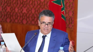 وهبي: ماعطيناش المقدمين الصفة الضبطية عطيناها فقط لخلفاء القياد