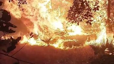 حريق مهول يلتهم غابة هيايضة أولاد حمو بطريق العرائش (الصورة)