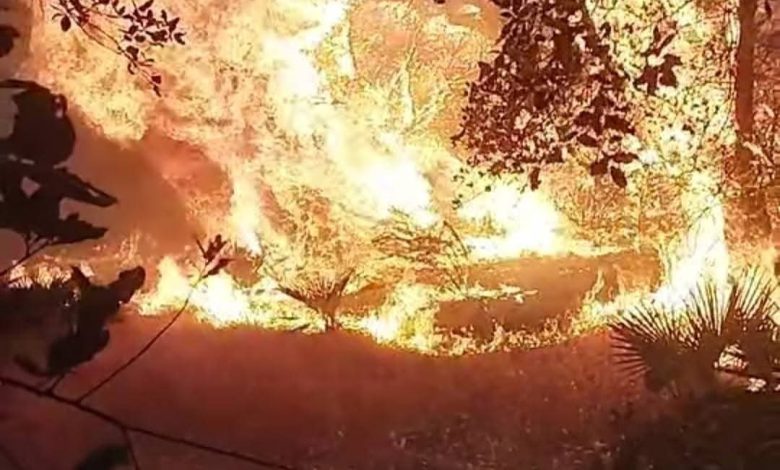 حريق مهول يلتهم غابة هيايضة أولاد حمو بطريق العرائش (الصورة)