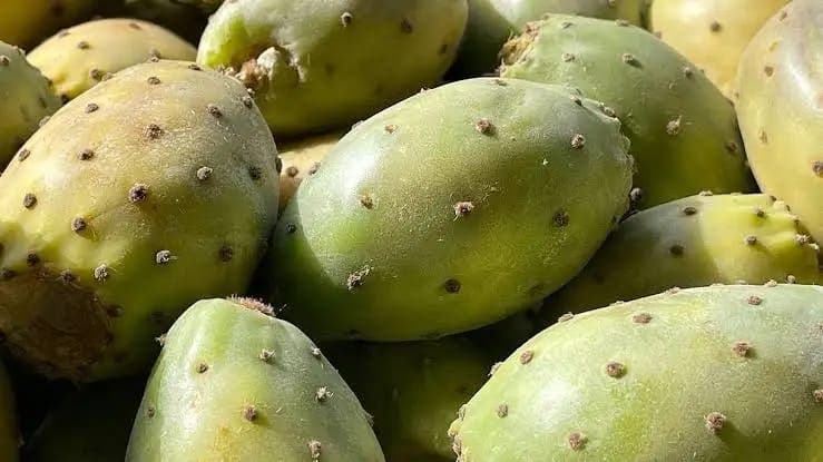 ارتفاع صاروخي في أسعار الكرموس الهندي بالمغرب.. "فاكهة الفقراء" تتحول إلى سلعة نادرة