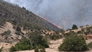 الحسيمة .. تحويط حريق بغابة “ثاندا إفران” وجهود متواصلة لإخماده