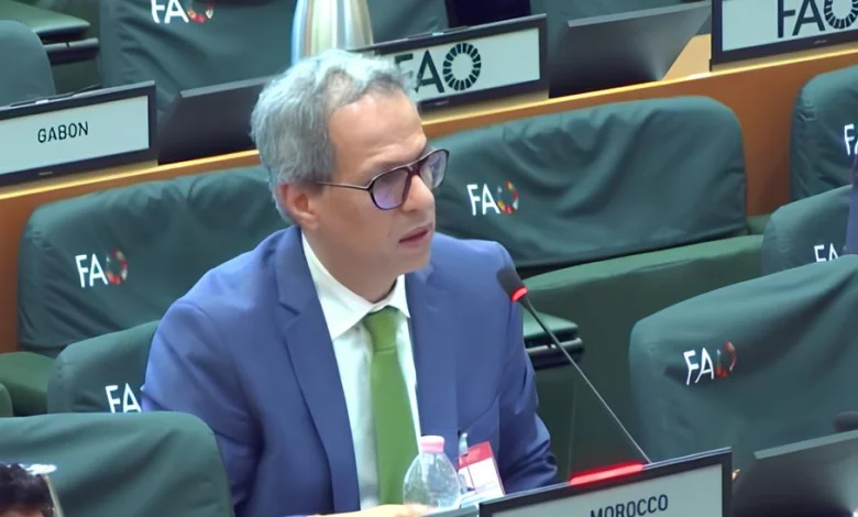 المغرب يجدد التزامه بدعم الدول النامية من خلال تعاون جنوب-جنوب فعال