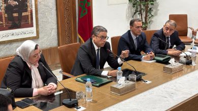بنشيخي يدعو إلى تدخلات عاجلة لمحاربة الكلاب الضالة بمراكش