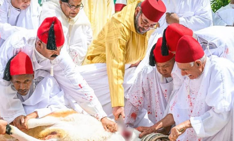 تطوان.. الملك ينحر أضحيتي العيد باسم جلالته و نيابة عن شعبه الوفي