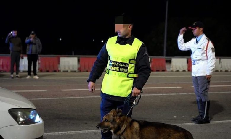 سيدي علال البحراوي.. حجز 900 قرص مهلوس في عملية أمنية مشتركة