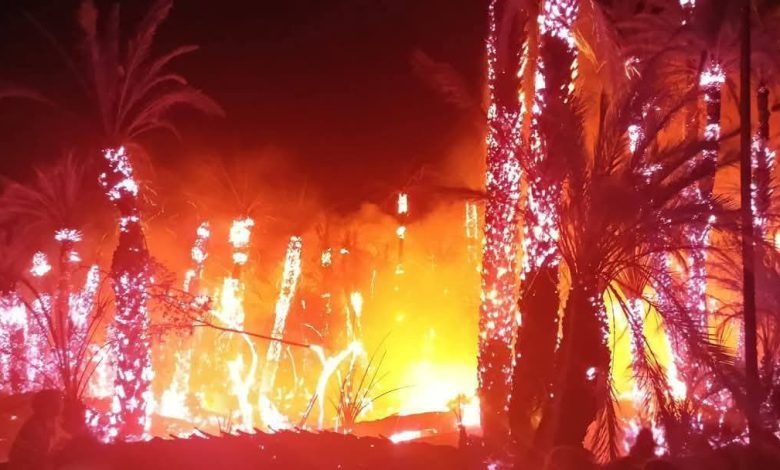 طاطا.. حريق مهول يتسبب في إتلاف 3 هكتارات من أشجار النخيل