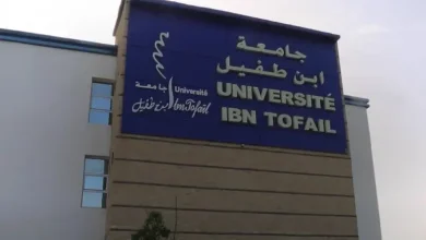 ندوة دولية في جامعة ابن طفيل تسلط الضوء على الشراكة المغربية البريطانية