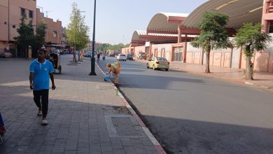 سلطات مراكش تستمر في تحرير الملك العمومي بالملحقة الادارية الداوديات(صور)
