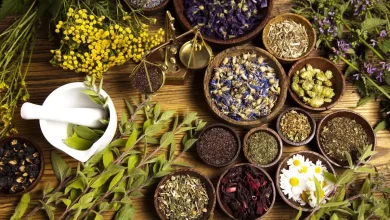 الاستعمال العشوائي للأعشاب يهدد صحة المغاربة