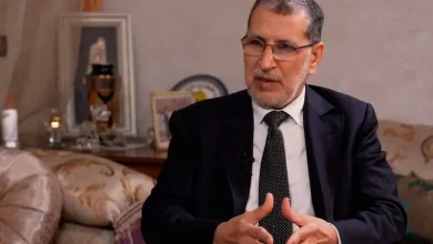 العثماني تعليقا على مسيرة أيت بوكماز: “احتجاج سلمي رائع يستحق التجاوب”